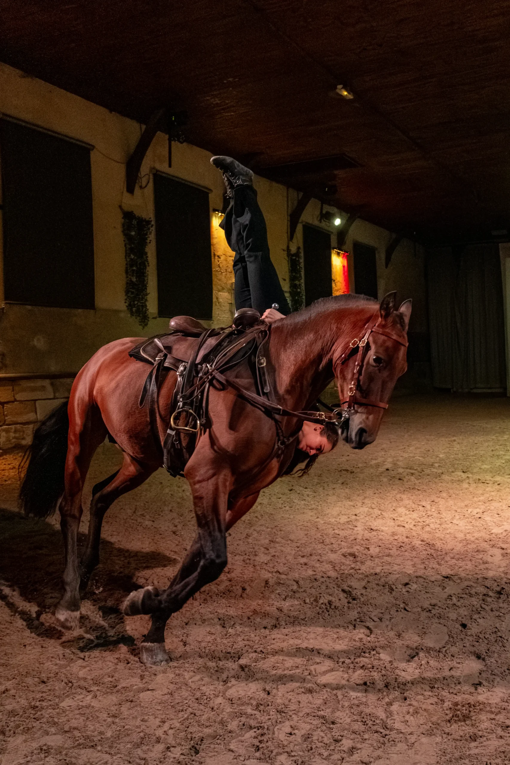 L'agence impact shooting spectacle Haras Du Pin