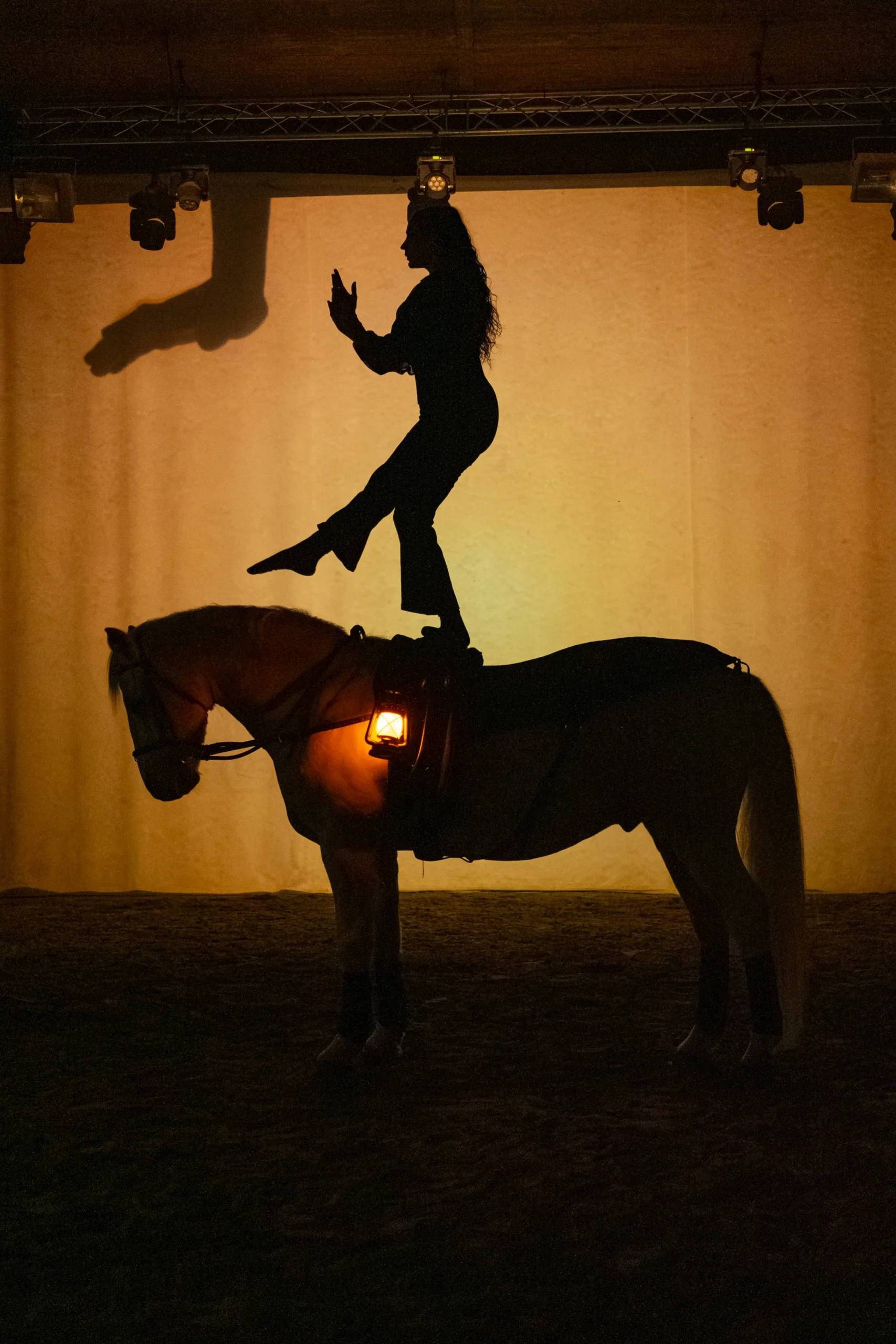 L'agence impact shooting spectacle Haras Du Pin