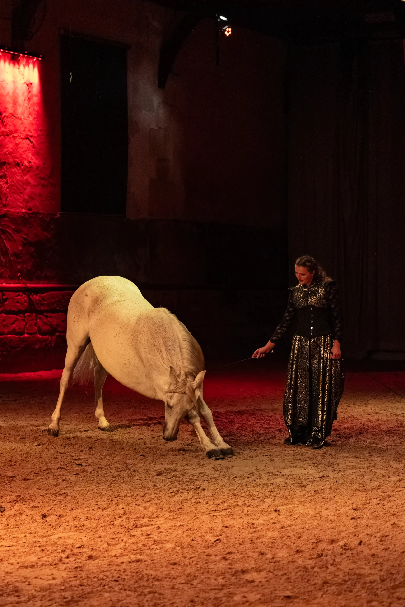 L'agence impact shooting spectacle Haras Du Pin